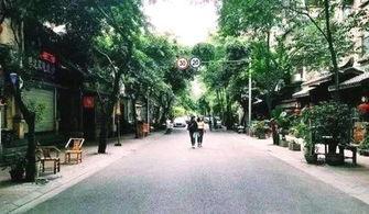 成都公园舆论爆料事件最新